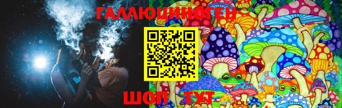 Псилоцибиновые грибы Cubensis Ипатово