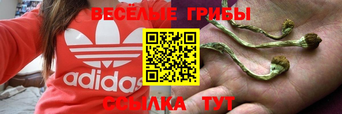 Галлюциногенные грибы ЛСД  Вход с VPN  Ипатово  Галлюциногенные грибы MAGIC MUSHROOMS 